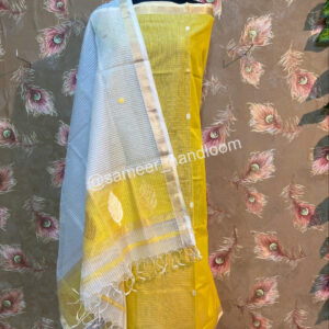 Maheshwari Katan Organza Top & Dupattas